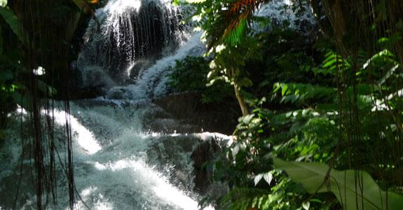 Country Profile – Jamaica Team Building