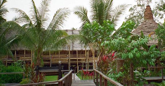 Jungle