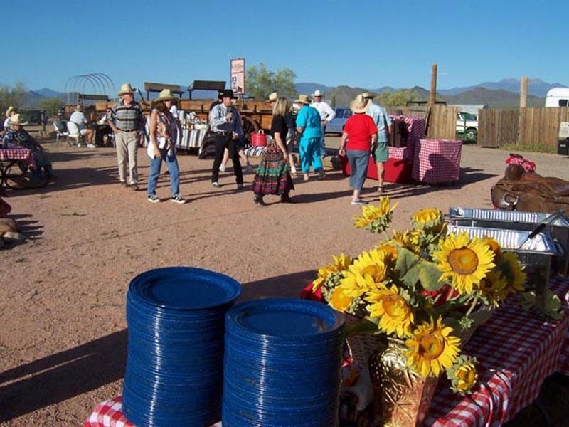 Desert Survival USA