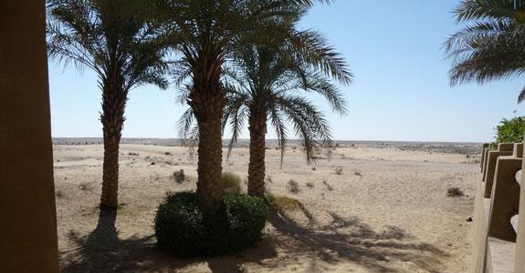 Logistics desert